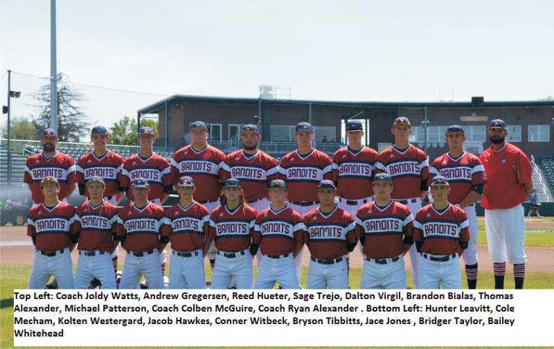 Idaho Falls Bandits AA 2019 Baseball Team